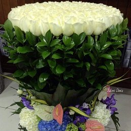 ���� �������, Delmas - ��������� 27 ������� 2020