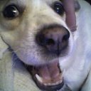 ���� ������, ����-�����������, 59 ��� - ��������� 29 �������� 2020 � ������ ������ ��������