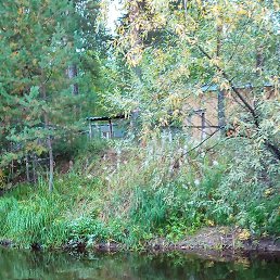 ���� ������, ����, 55 ��� - ��������� 16 ������ 2020