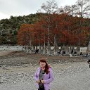 ���� �������, ������������ - ��������� 8 ������ 2021