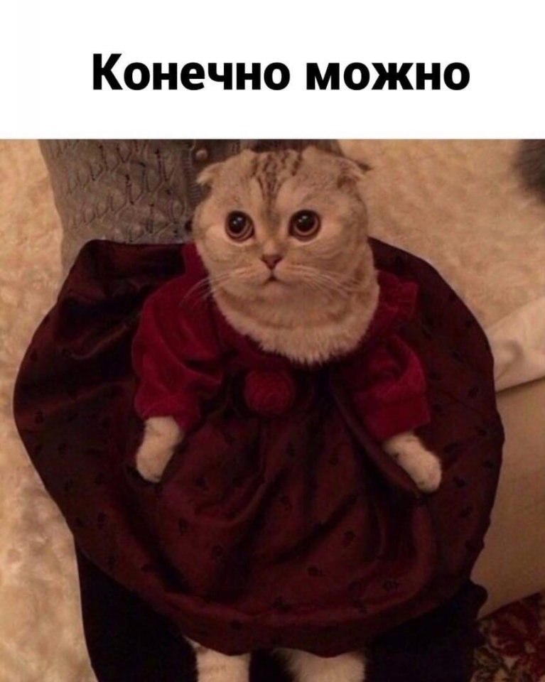       - 3