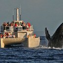 ���� �����, ����������� - ��������� 26 �������� 2020 � ������ ���� ����������