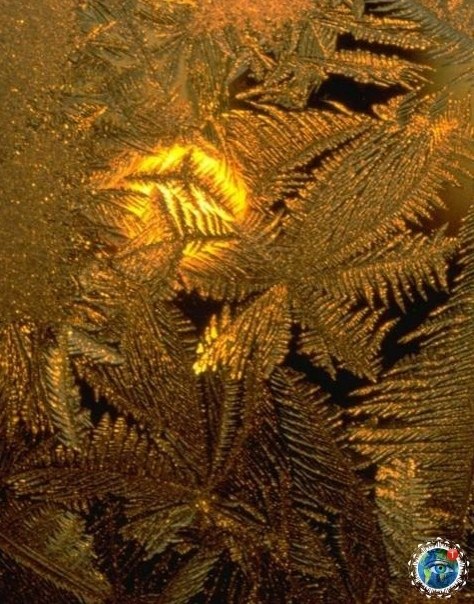 o� ���o�� � ������ �a�a�a� �e��a.������� - 6