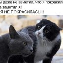 ���� Alex M, ��������� - ��������� 27 ������� 2020 � ������ �������