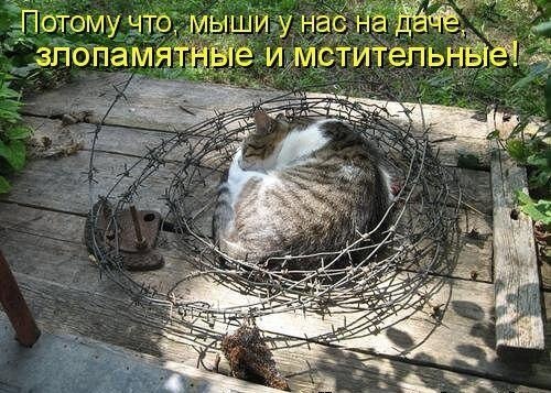    - 9  2021  00:54