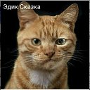 ���� ��������., �����-���������, 64 ���� - ��������� 22 ����� 2021 � ������ ���� ����������