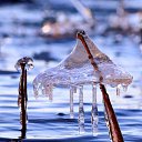 ���� �������, ������, 64 ���� - ��������� 12 ������� 2020 � ������ ���� ����������