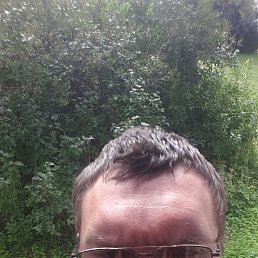, 40, 