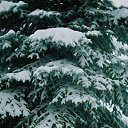 ���� Ida, �����������, 26 ��� - ��������� 28 ������ 2021 � ������ ������ ��������