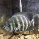 ���� ����, ������, 58 ��� - ��������� 9 ������ 2021 � ������ ���� ����������