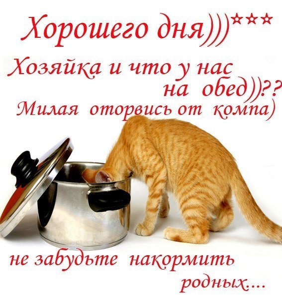   ,    . - 5  2021  16:49 - 10