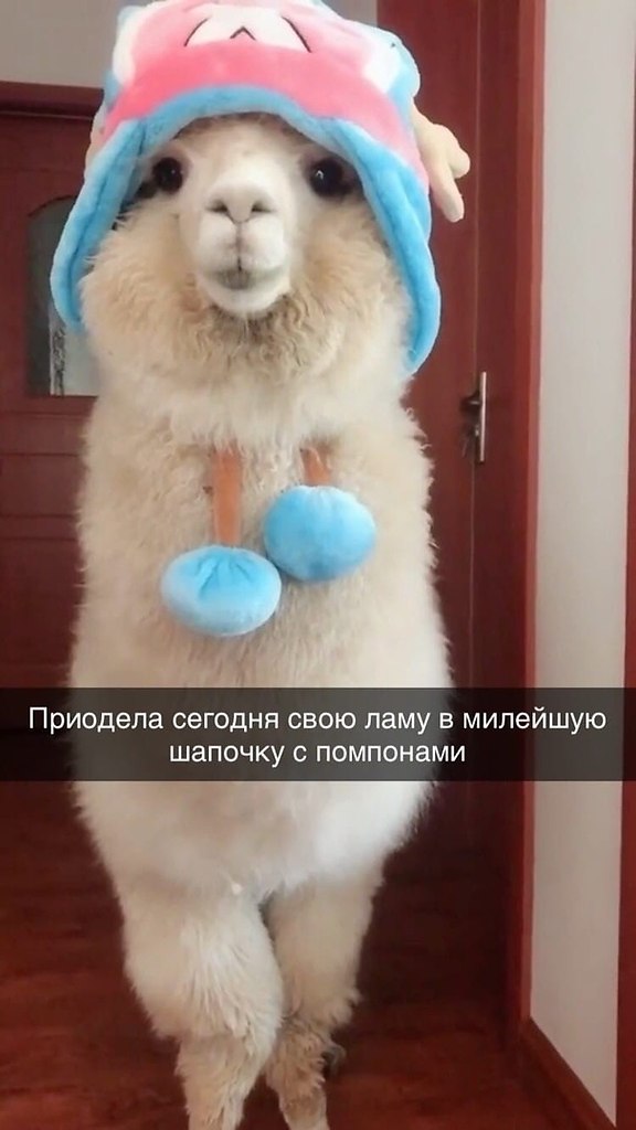 � ����-�� ���� �������, � ��� ������ �� ����������