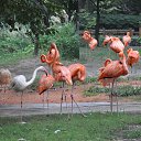 ���������� ������� �� ������� ���� ����������