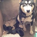 ���� ������, �������, 63 ���� - ��������� 21 ������� 2020