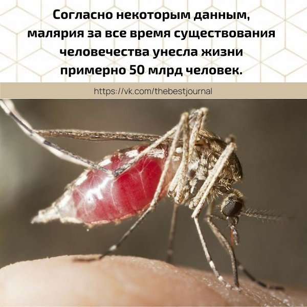BEST | �����, ���������, ������ - 24 ����� 2021 � 05:24