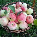 ������� � ��� ���� 2019�. ��� ���������� ������ �� ������� ���� ����������