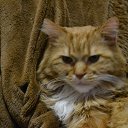 ���� ������, �������, 37 ��� - ��������� 16 ������� 2021 � ������ ������ ��������