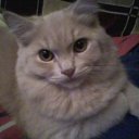 ���� ������, ����-�����������, 59 ��� - ��������� 29 �������� 2020 � ������ ������ ��������