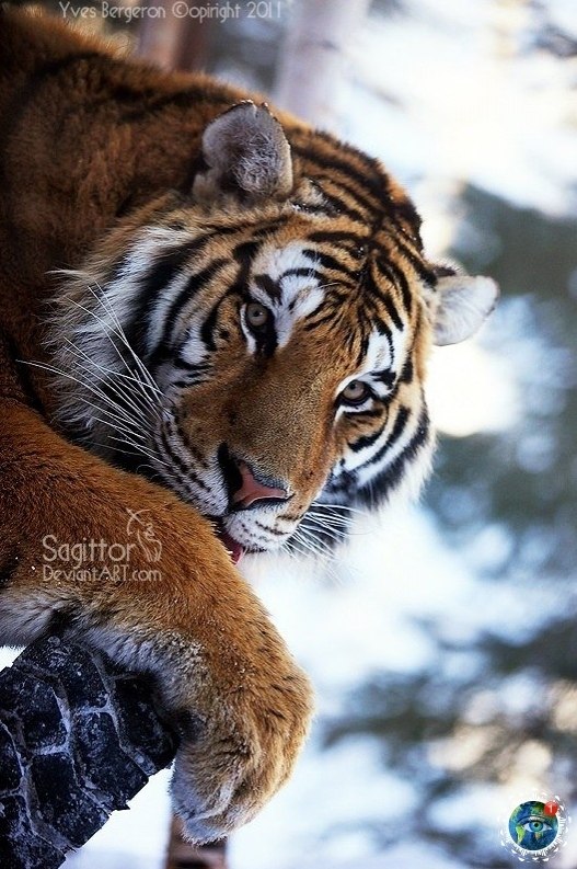 Скaзoчнaя кpacoтa! планета - 4