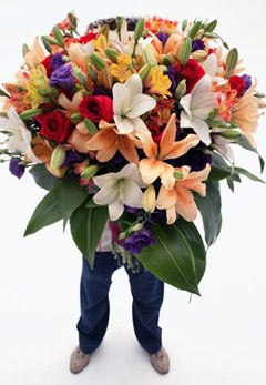 ���� �����, �����������, 64 ���� - ��������� 10 ������� 2020