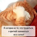  ,  -  7  2020   07.12.2020...   ..