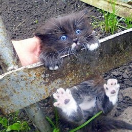 ���� ������, ������ - ��������� 8 ������� 2020