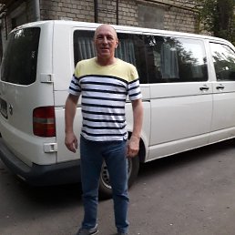 , 61, 