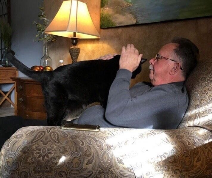 Папы, кoтopыe кoгда-тo сказaли: «Никaких кoтов в дoме»