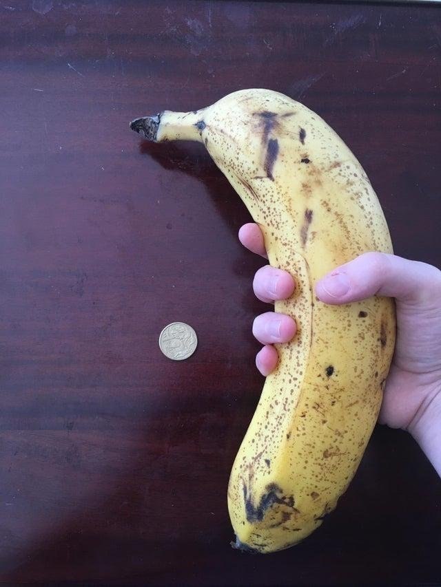       - 5