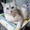 ��� ���������� ��� �� ������� ���� ����������