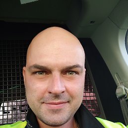 �����, ��������, 46 ���