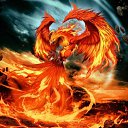 ���� ������, ����, 48 ��� - ��������� 10 ������� 2020 � ������ ���� ����������