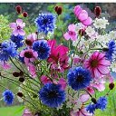 ���� ������, �������, 63 ���� - ��������� 21 �������� 2020 � ������ ���� ����������