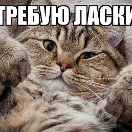 ���� ��������, �����-���������, 46 ��� - ��������� 14 ������ 2020