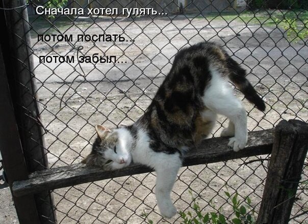   - 3  2021  12:31