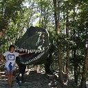 ���� ������ �, ������� - ��������� 28 ������ 2021 � ������ ���� ����������