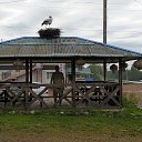 ���� �������, �����������, 61 ��� - ��������� 3 �������� 2020 � ������ ���� ����������