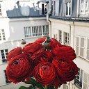 ���� ������ ����� �����,��� �����!, ������ - ��������� 20 ������� 2021 � ������ ���� ����������