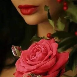 �����, ������