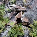 ���� �����, ���������, 67 ��� - ��������� 17 ������ 2021 � ������ ���� ����������