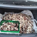 ���� �������, ������, 52 ���� - ��������� 26 ������� 2021 � ������ ���� ����������