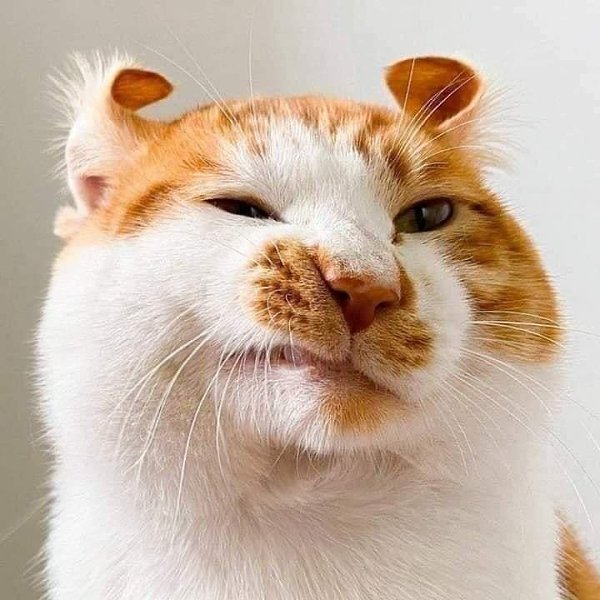 -  ,   ))) - 2