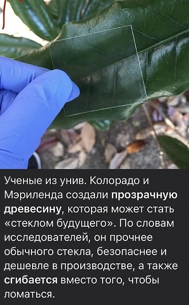 B�� o ��y�e � ��x���o����