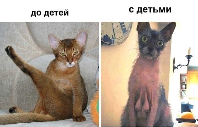 pe   e)).peoee o!
