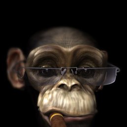 ���� ������, �������, 21 ��� - ��������� 1 ������� 2020