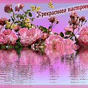 ���� ������, ������ - ��������� 9 ������� 2020 � ������ ������ ��������