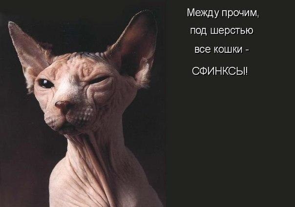    - 29  2020  00:55