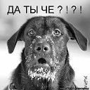  ,  -  7  2020   07.12.2020...   ..