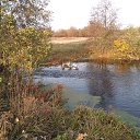 ���� �������, ������, 52 ���� - ��������� 26 ������� 2021 � ������ ���� ����������