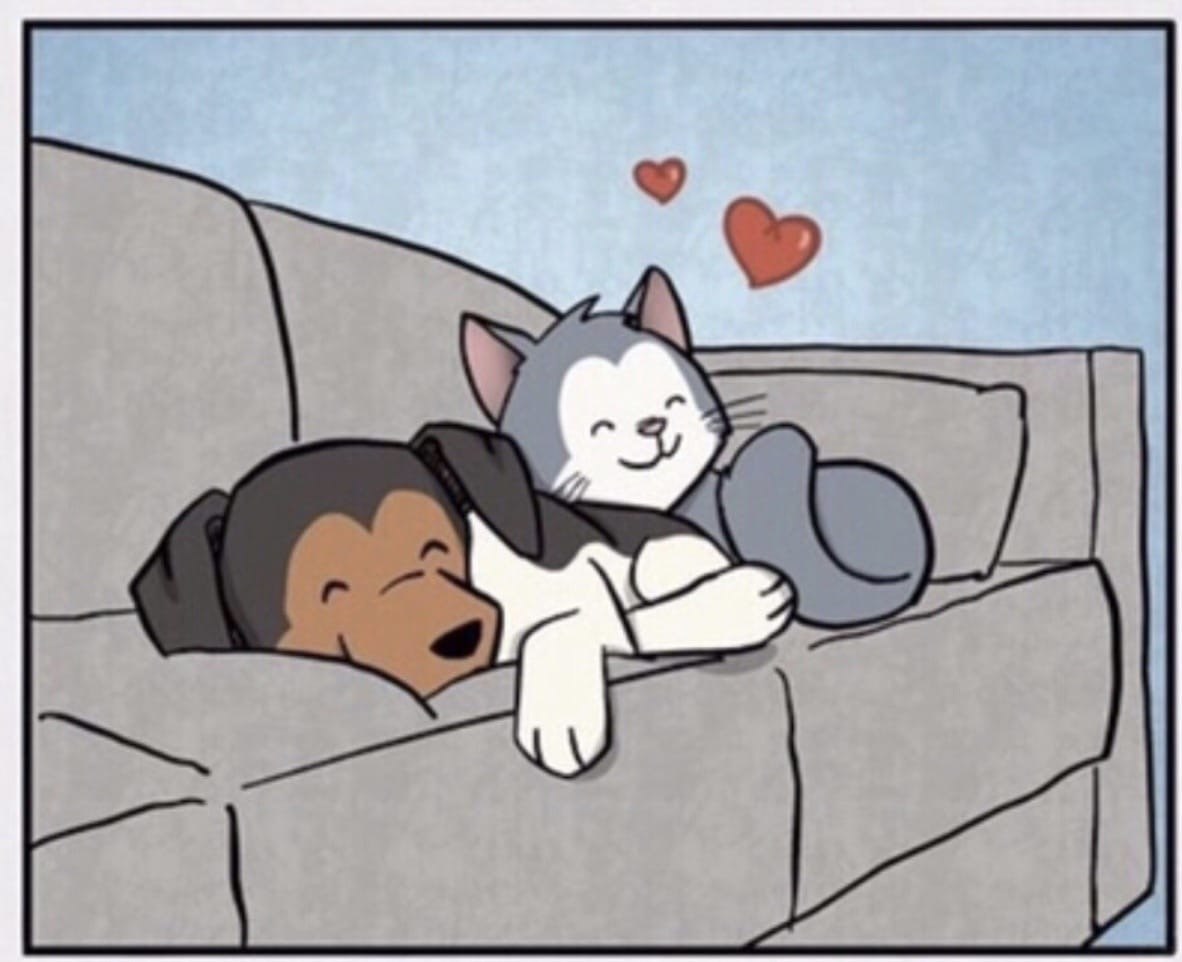 ��� ���������� ������� ������ - 4